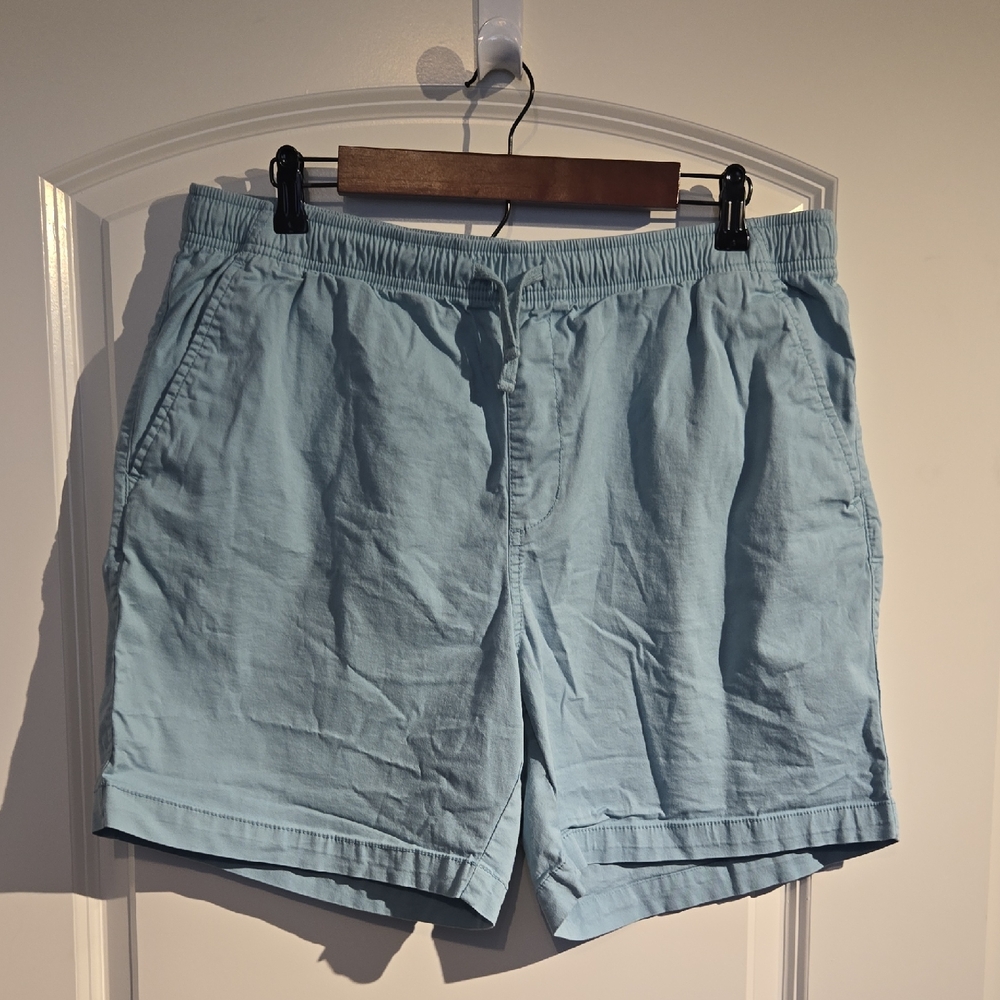 Old Navy Light Blue Men's Flat Front Shorts